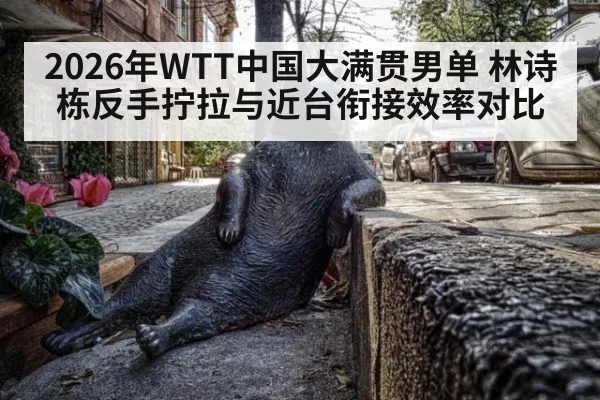 2026年WTT中国大满贯男单 林诗栋反手拧拉与近台衔接效率对比