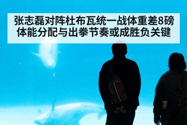 张志磊对阵杜布瓦统一战体重差8磅 体能分配与出拳节奏或成胜负关键