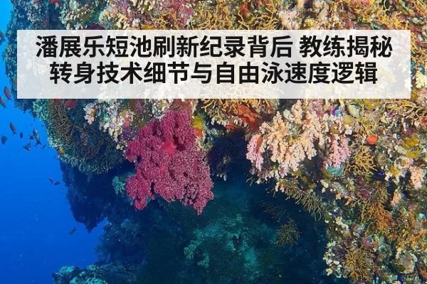 潘展乐短池刷新纪录背后 教练揭秘转身技术细节与自由泳速度逻辑