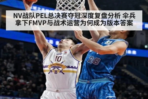 NV战队PEL总决赛夺冠深度复盘分析 伞兵拿下FMVP与战术运营为何成为版本答案